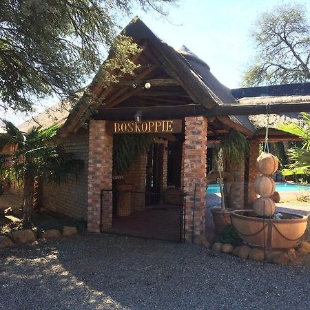 Boskoppie Lion & Tiger Reserve Kroonstad Exterior photo
