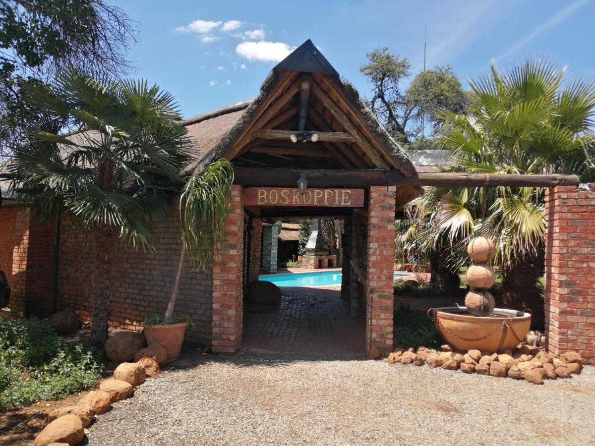 Boskoppie Lion & Tiger Reserve Kroonstad Exterior photo